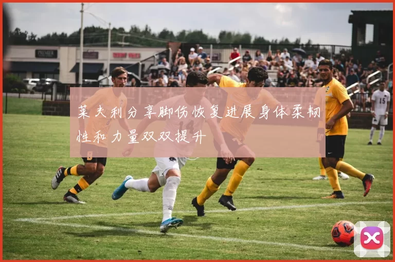 莱夫利分享脚伤恢复进展身体柔韧性和力量双双提升